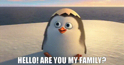 Hello! Are you my family?